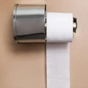 toilet tissue roll