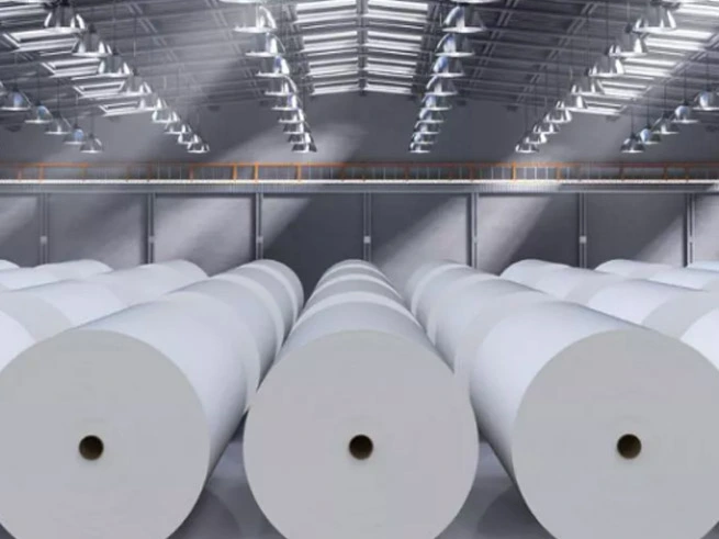 Papermaking industry from January to November 2024